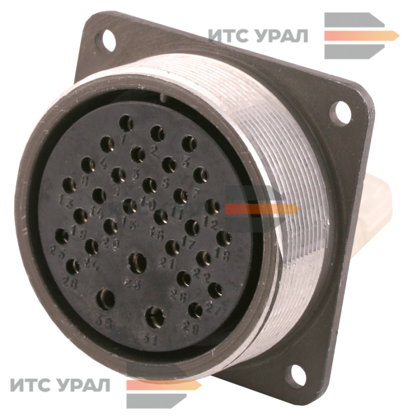 ШР55П31ЭГ3, Розетка блочная